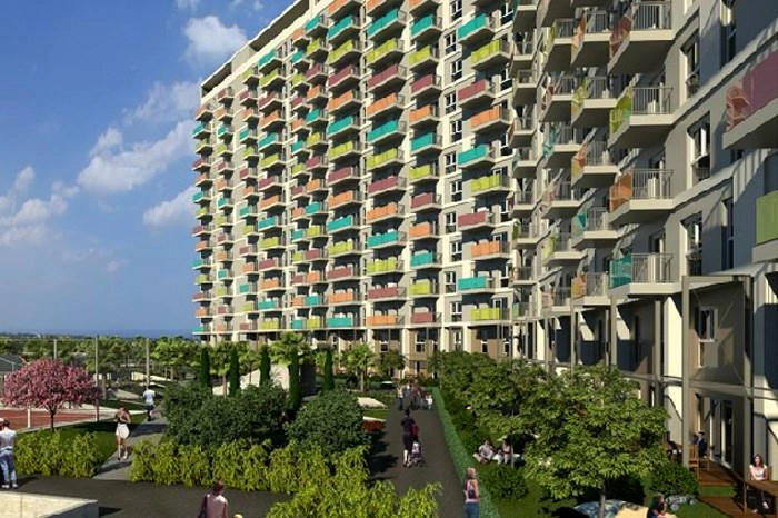projects_photos