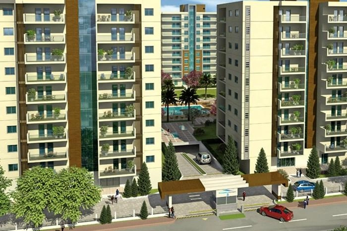 projects_photos