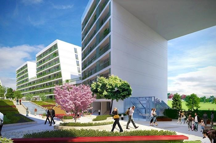 projects_photos