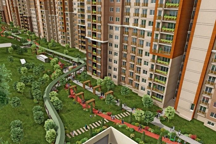 projects_photos