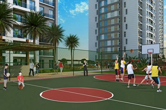 projects_photos