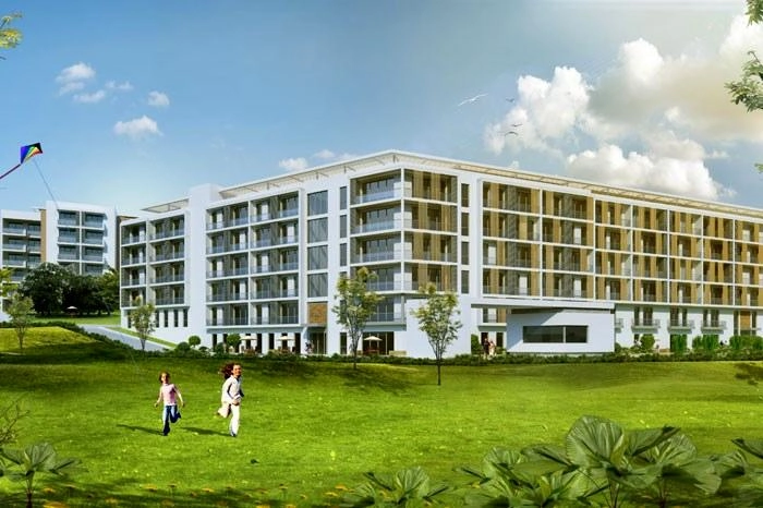 projects_photos