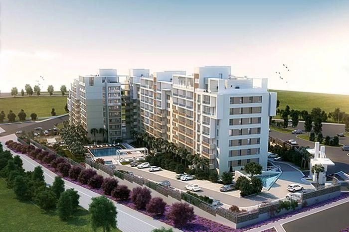 projects_photos