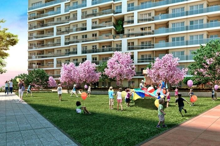 projects_photos
