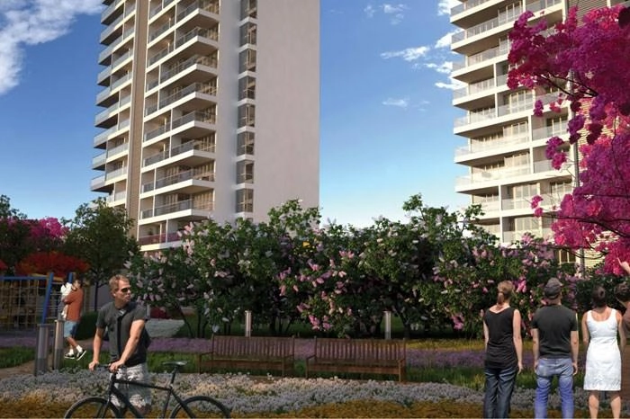 projects_photos
