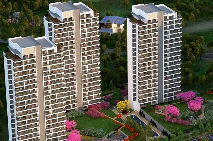 projects_photos