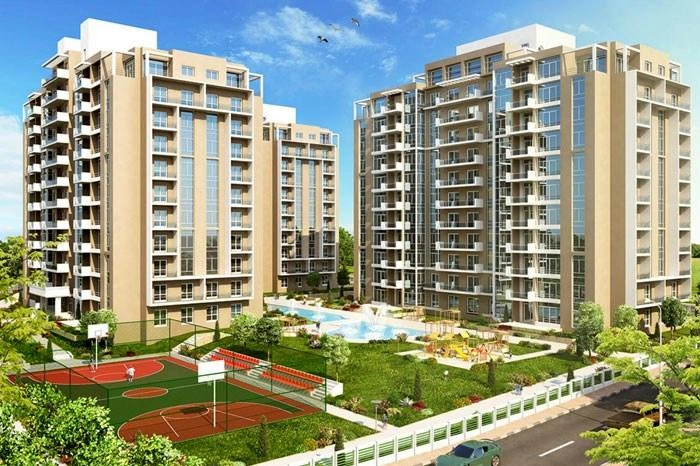 projects_photos