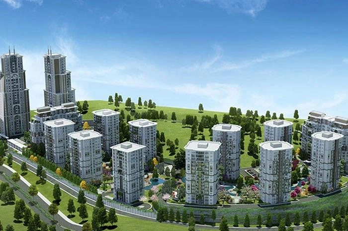 projects_photos