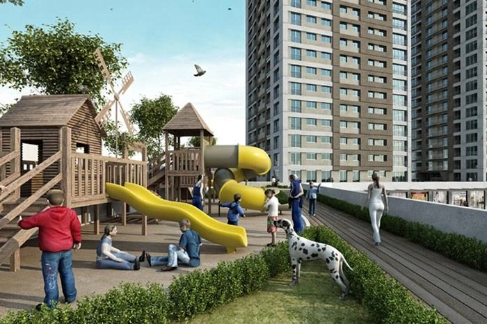 projects_photos