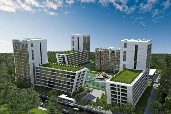 projects_photos