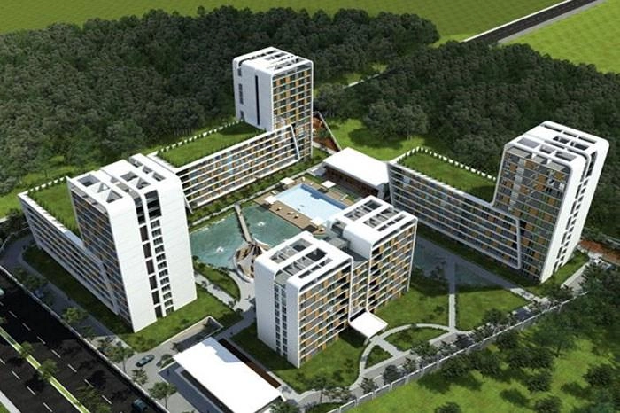 projects_photos