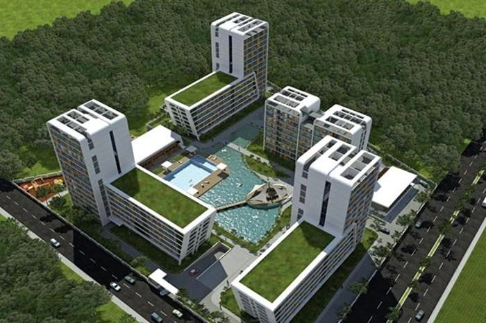 projects_photos