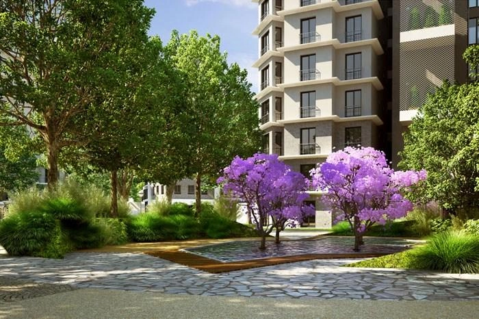 projects_photos