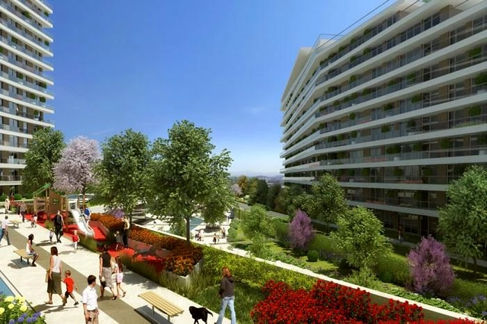 projects_photos