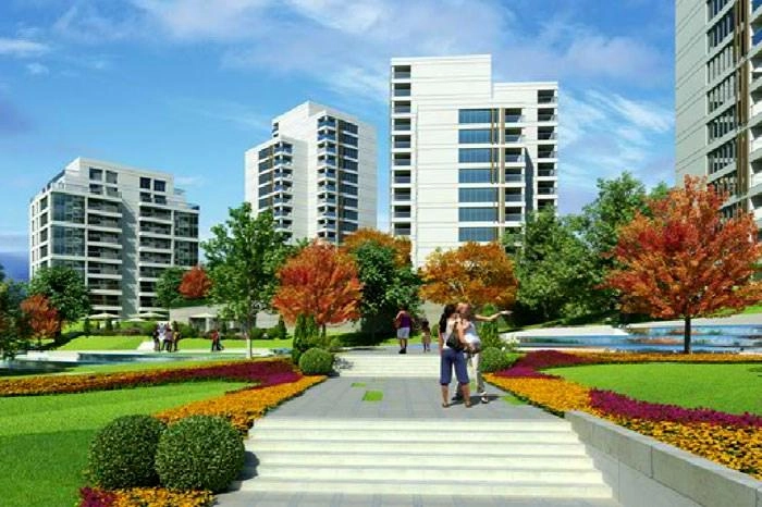 projects_photos