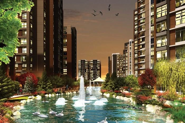 projects_photos