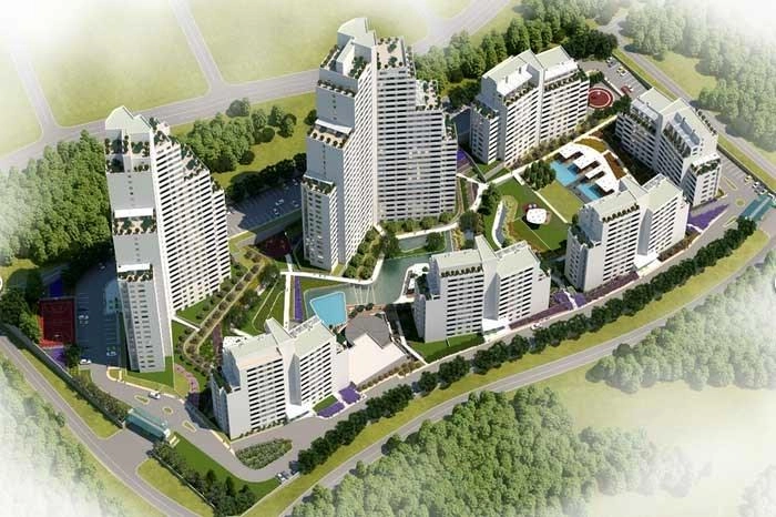 projects_photos