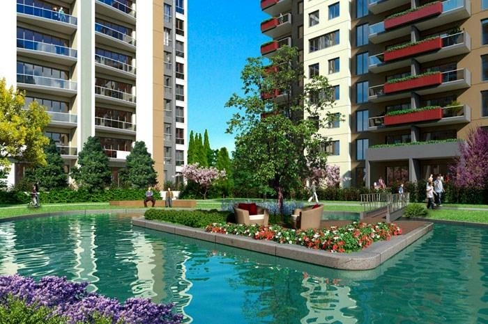projects_photos