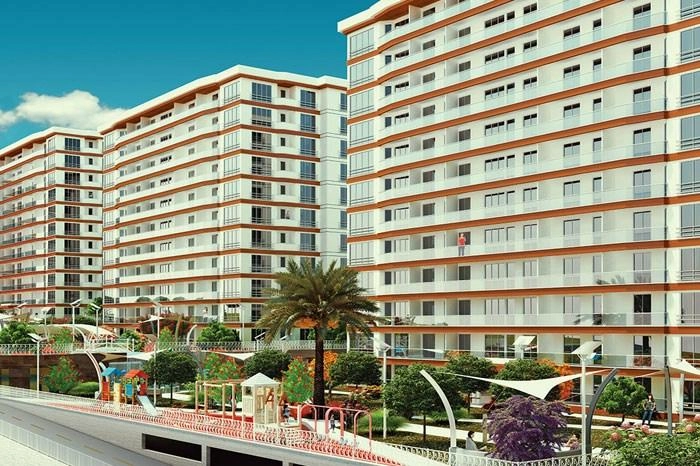 projects_photos