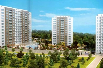 project_photos