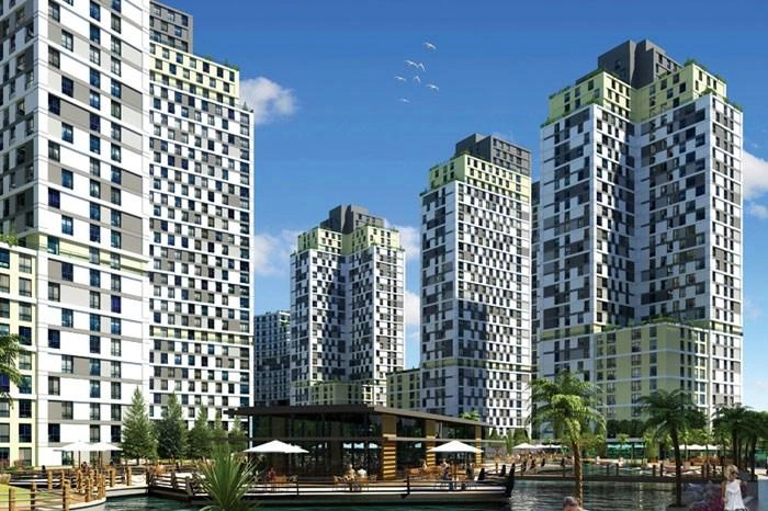 projects_photos