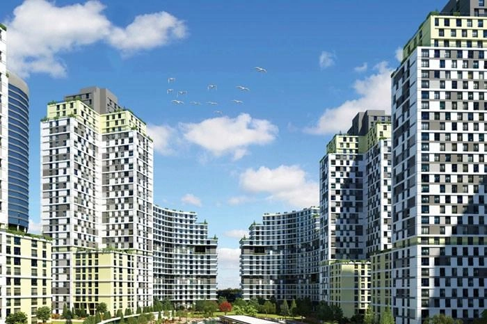 projects_photos