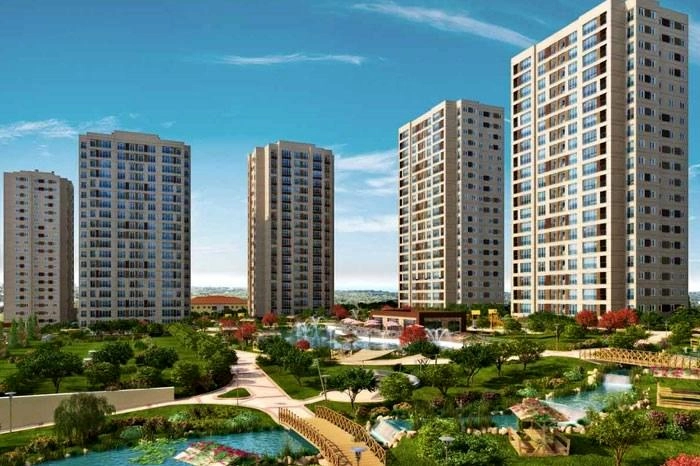 projects_photos