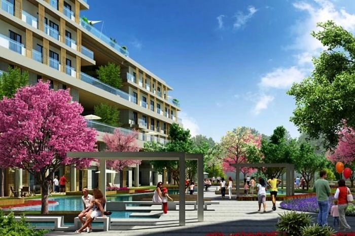projects_photos