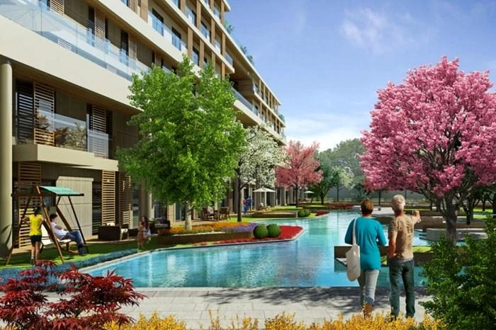 projects_photos