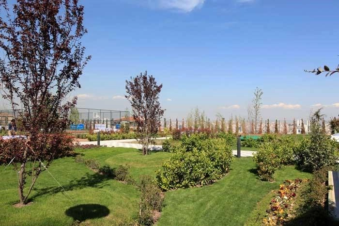 projects_photos