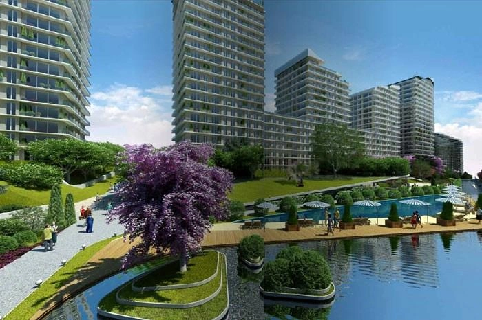 projects_photos