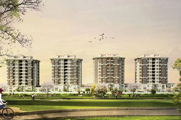 projects_photos