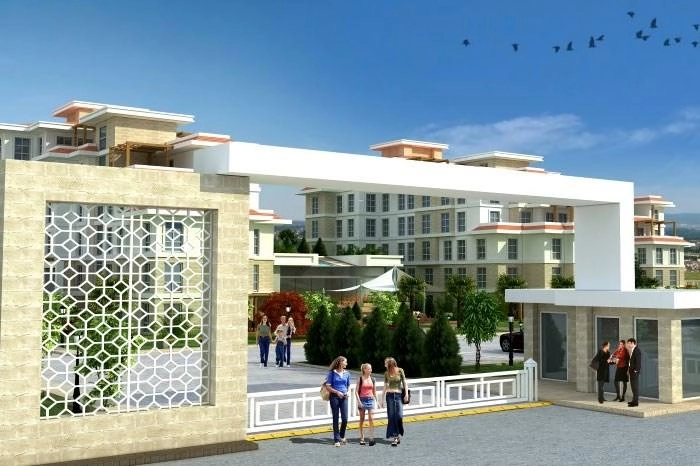 projects_photos