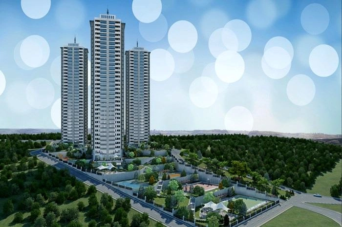 projects_photos