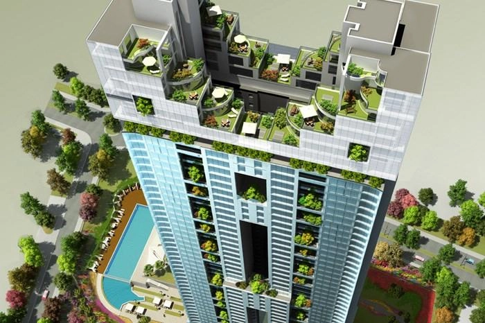 projects_photos