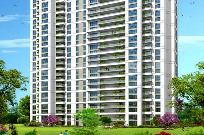 projects_photos