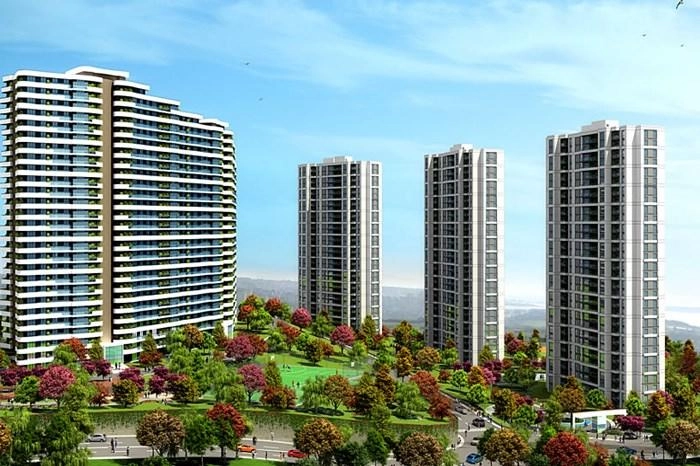projects_photos