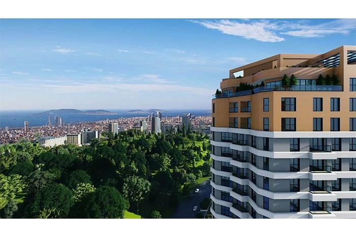 projects_photos