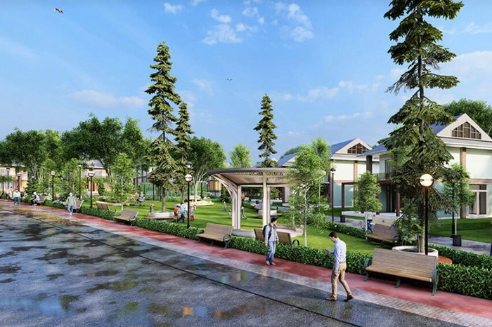 projects_photos