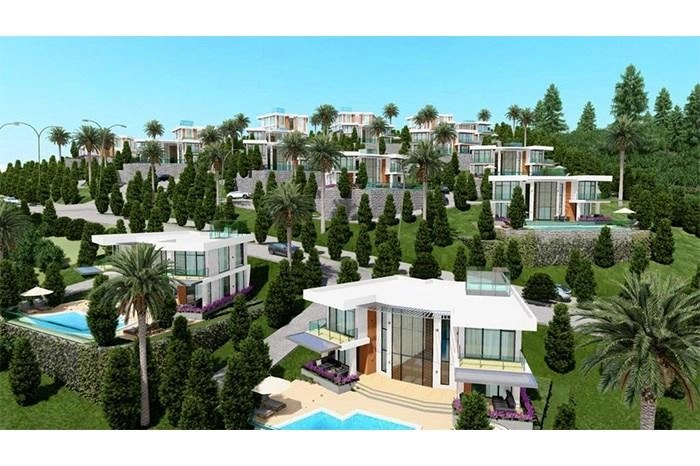 projects_photos