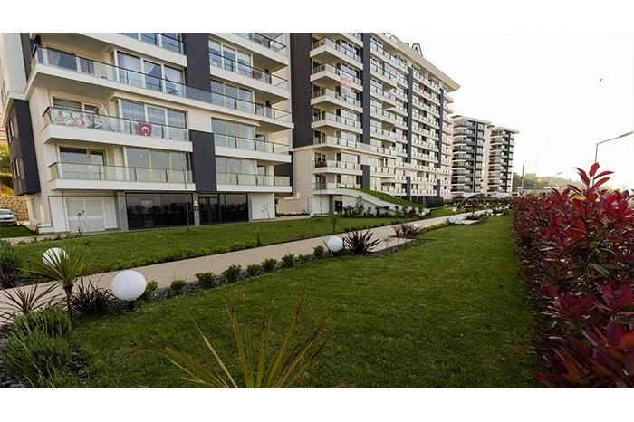 projects_photos