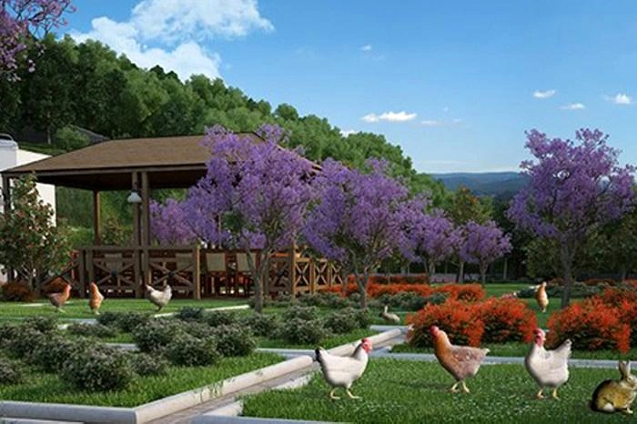 projects_photos