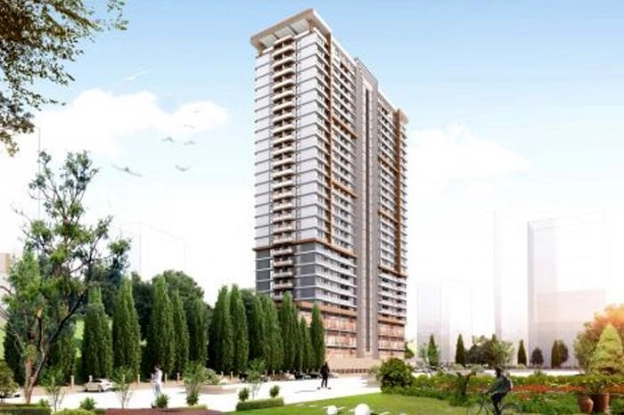 projects_photos