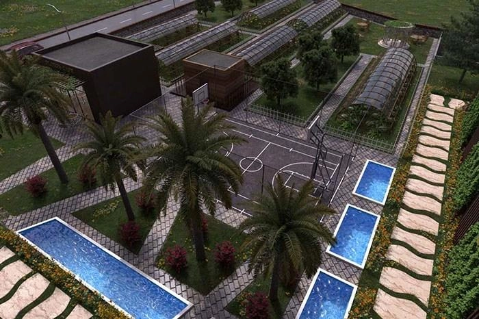 projects_photos