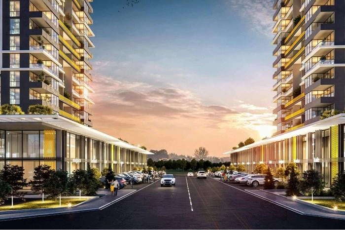 projects_photos