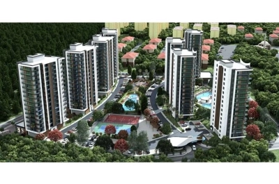 project_photos